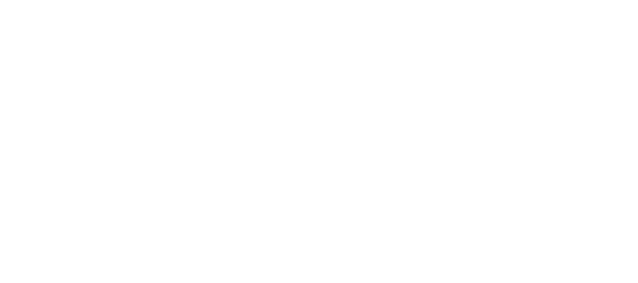 logo-white